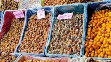 تفاوت أسعار البلح السيوي وأنواع أخرى داخل أسواق مطروح اليوم السبت